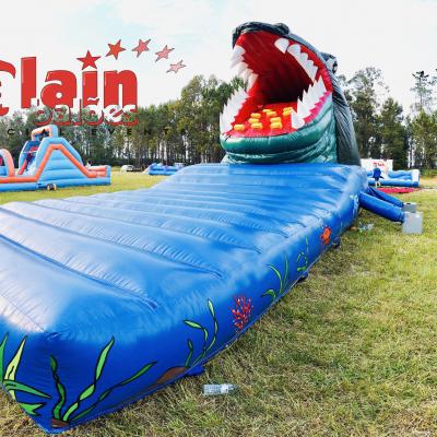 Big_Active_Crocodile_Slide_Santa_Maria_Da_Feira_Alain_Balões