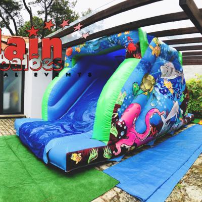 Inflatable_Slide_aquarium_Viana_Do_Castelo_Private_Party_Alain_Balões_Special_Events