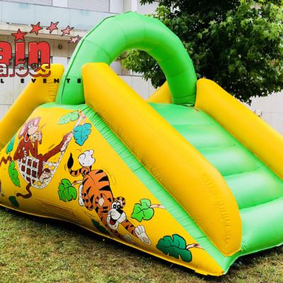 Inflatable_Slide_in_the_jungle_Party_Portugal_Alain_Balões_Special_Events